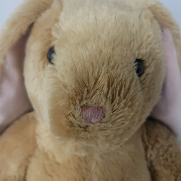 Build A Bear BAB Tan Brown Floppy Ear Bunny Rabbit Plush Stuffed Animal Toy EUC - Picture 2 of 7